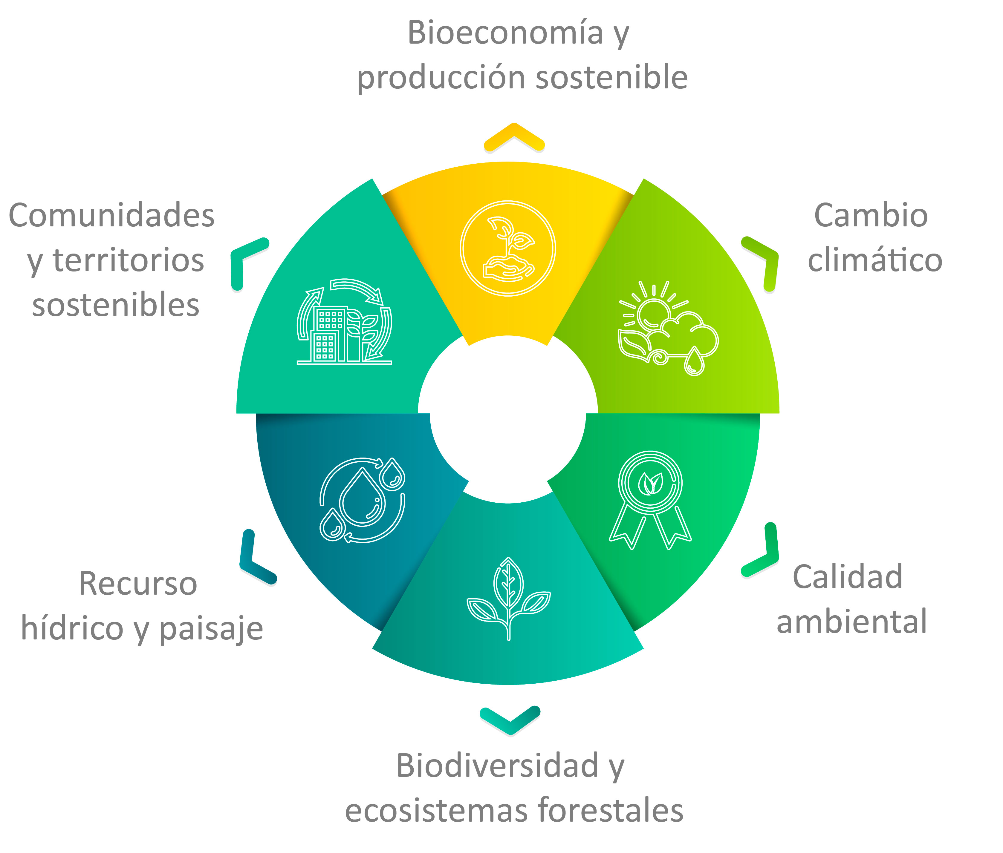 Areas estrategicas